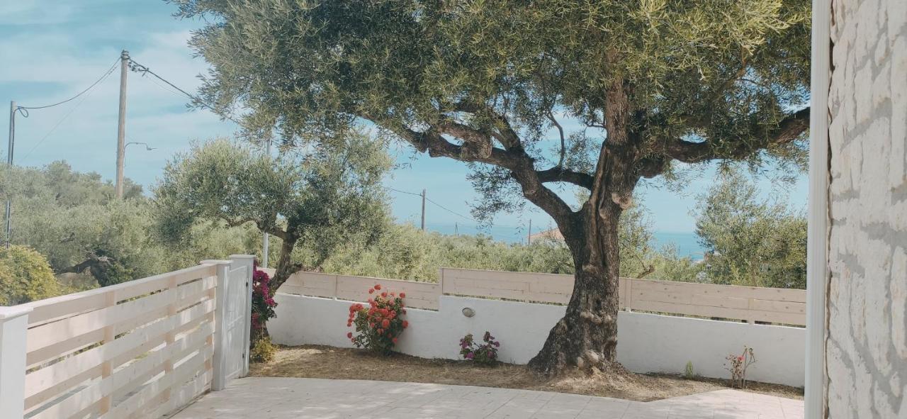 Villa Zante Avia Plános 외부 사진